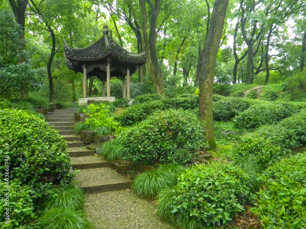 path through the green gardens with trees to the chinese gazebo path through the green gardens with trees to the chinese gazebo