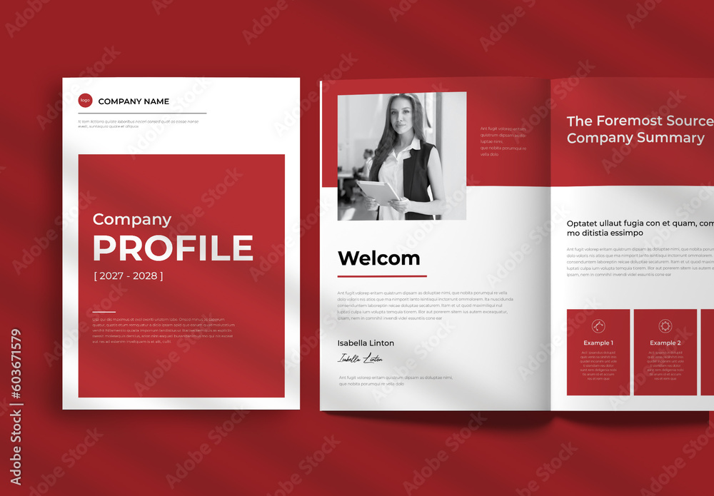 Company Profile Layout Stock Template Adobe Stock