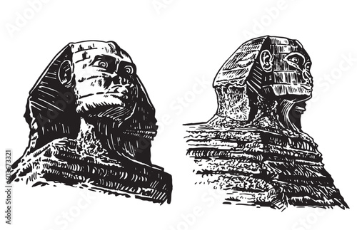 Graphical hand drawn sphinx statues isolated on white background,vector illustration . Egyptian architecture
