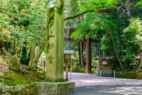 【奈良県】天理市 石上神宮 (2023/04/27撮影) photo