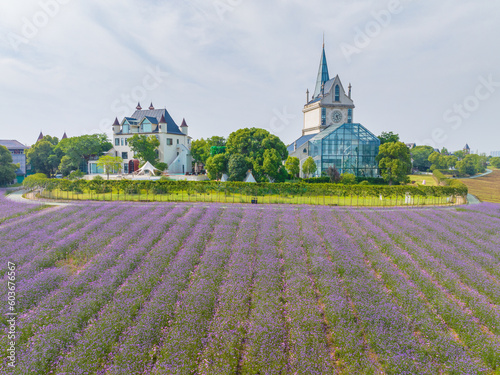 Spring scenery of Wuhan Huabohui Scenic spot photo