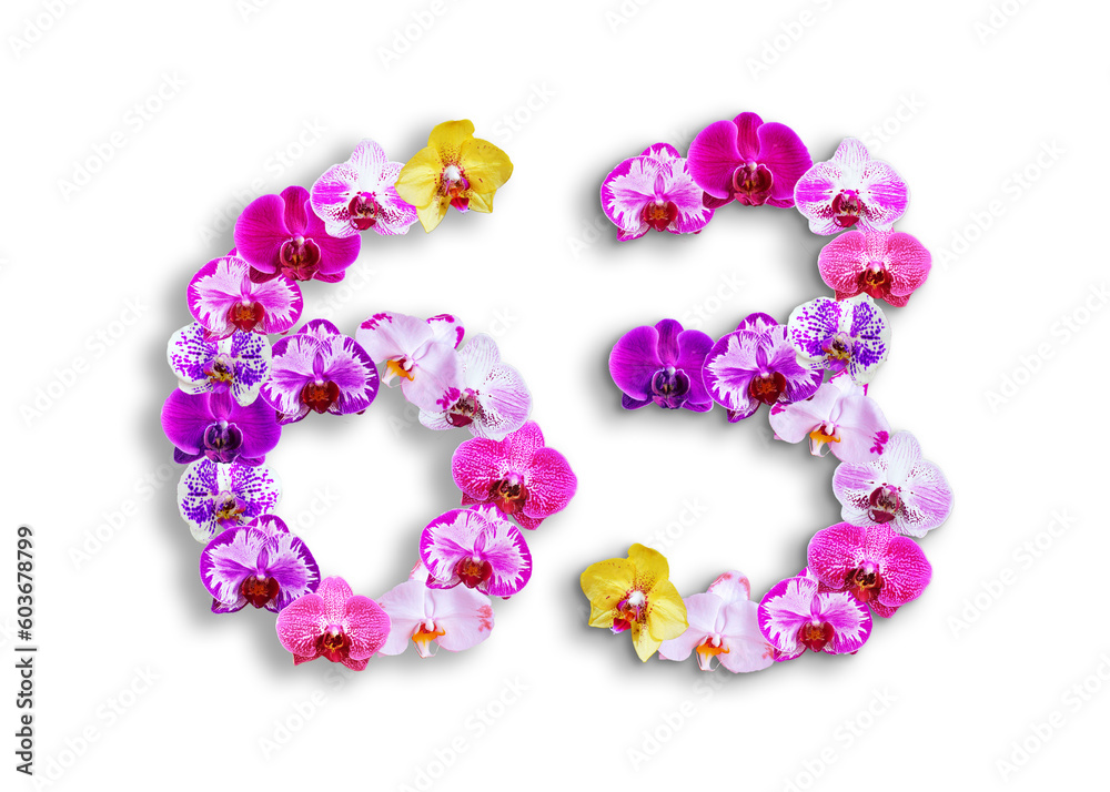 The shape of the number 63 is made of various kinds of orchid flowers. suitable for birthday, anniversary and memorial day templates
