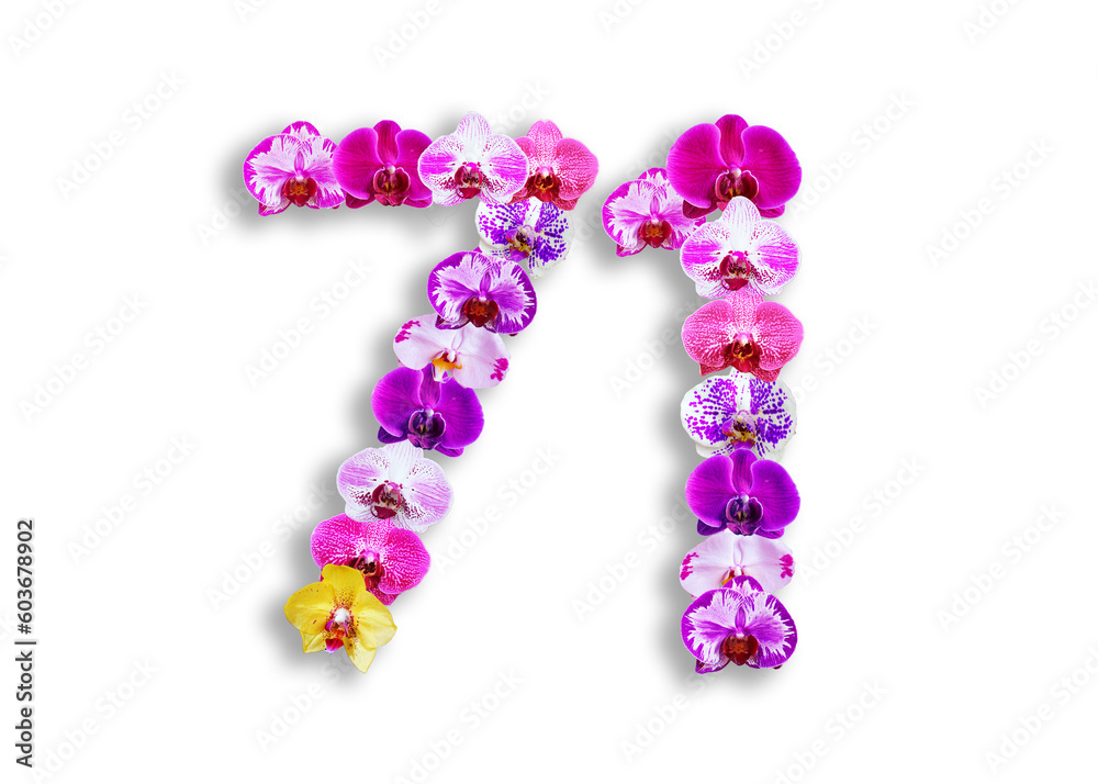 The shape of the number 72 is made of various kinds of orchid flowers. suitable for birthday, anniversary and memorial day templates The shape of the number 72 is made of various kinds of orchid flowers. suitable for birthday, anniversary and memorial day templates