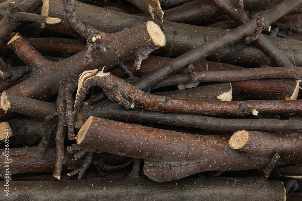 Bundle of dry sticks and branches. Dry brushwood. Firewood. Large pile of sticks twigs of a tree. Bundle of dry sticks and branches. Dry brushwood. Firewood. Large pile of sticks twigs of a tree.