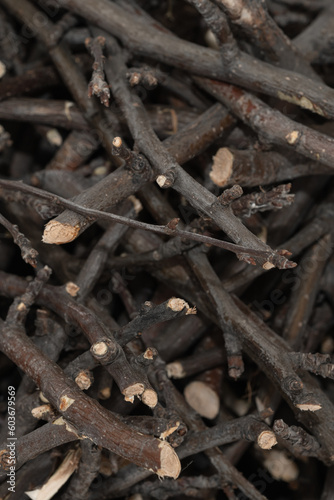 Bundle of dry sticks and branches. Dry brushwood. Firewood. Large pile of sticks twigs of a tree.