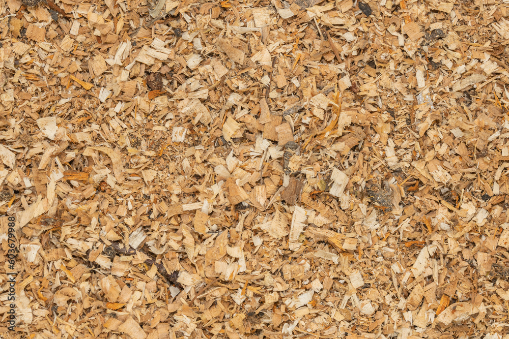 Wood shavings and sawdust background texture. Pile of sawdust close up top view. Wood shavings and sawdust background texture. Pile of sawdust close up top view.