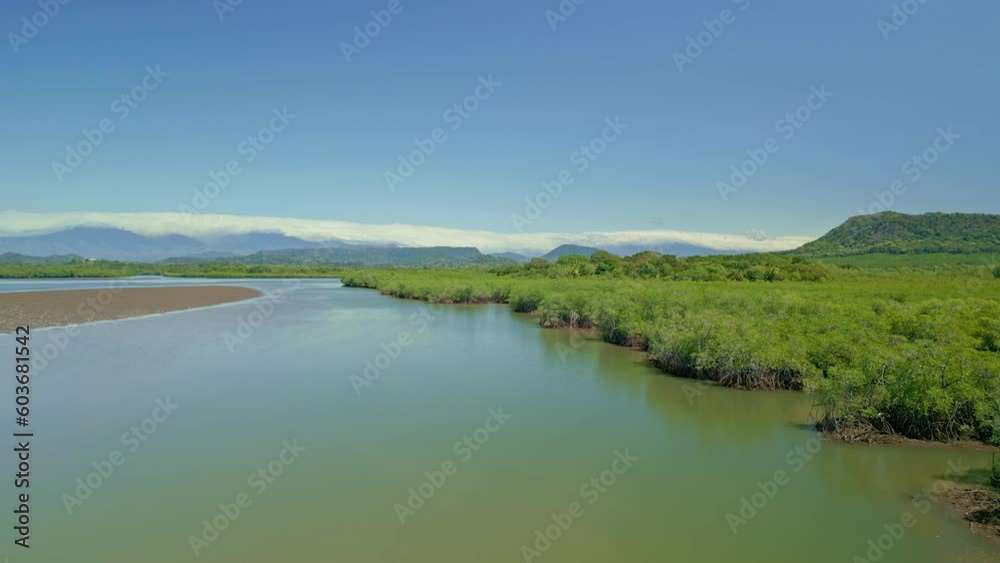 Aerial Mangrove forest ecosystem, Chiriqui gulf, Panama, Central America - stock video Aerial Mangrove forest ecosystem, Chiriqui gulf, Panama, Central America - stock video