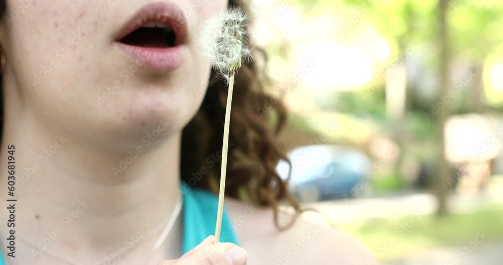 Portrait of a beautiful young woman blowing on the ripened dandelion. Portrait of a beautiful young woman blowing on the ripened dandelion.