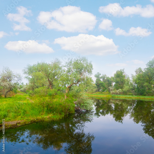 small calm river with forest on coast under cloudy sky, summer rural contryside landscape