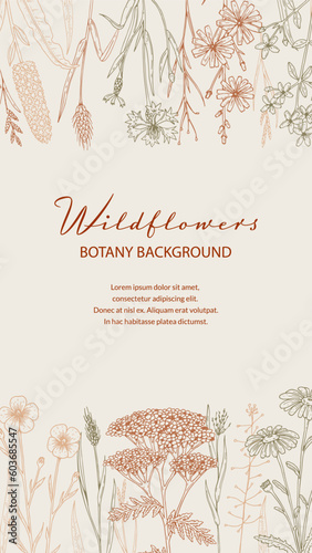Summer vertical design with wildflowers. Hand drawn vector illustration in sketch style. Social media stories template. Meadow flowers poster. Wedding invitation