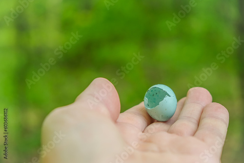 The shell of a bird's blue egg in a woman's palm. New life. Copy space. 
