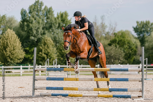 Chestnut horse, ridden by a female rider in a black equestrian outfit, jumping over hurdles in the open arena, low angle shot. © 24K-Production