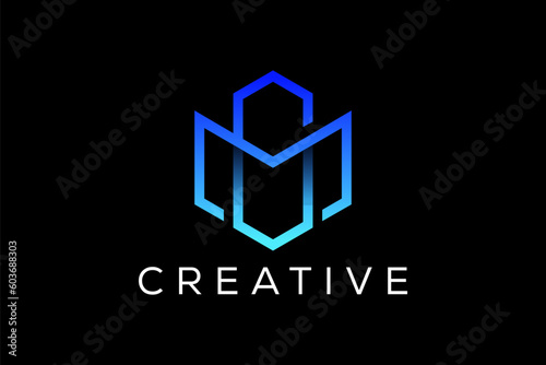 Creative letter gm monogram hexagon logo design