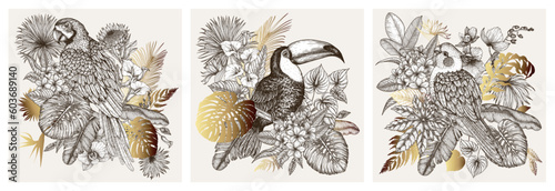 Set of 3 posters with birds surrounded by tropical flowers and plants in engraving style. Macaw parrot, toucan and corella parrot
