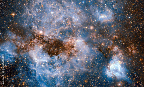 Fototapeta Naklejka Na Ścianę i Meble -  Stellar nursery within the Large Magellanic Cloud. Elements of this image furnished by NASA.