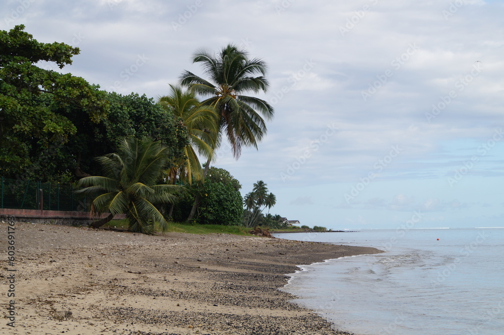 Fototapeta premium TAHITI PLAGE 2023