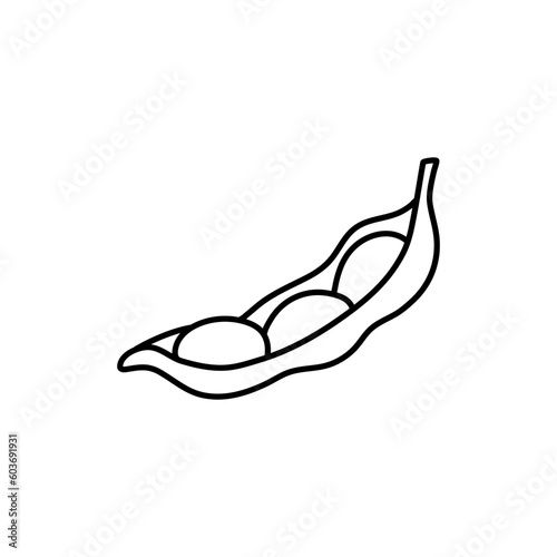 Soy bean, Soybean vector illustration. Soybean engraving isolated on white background.