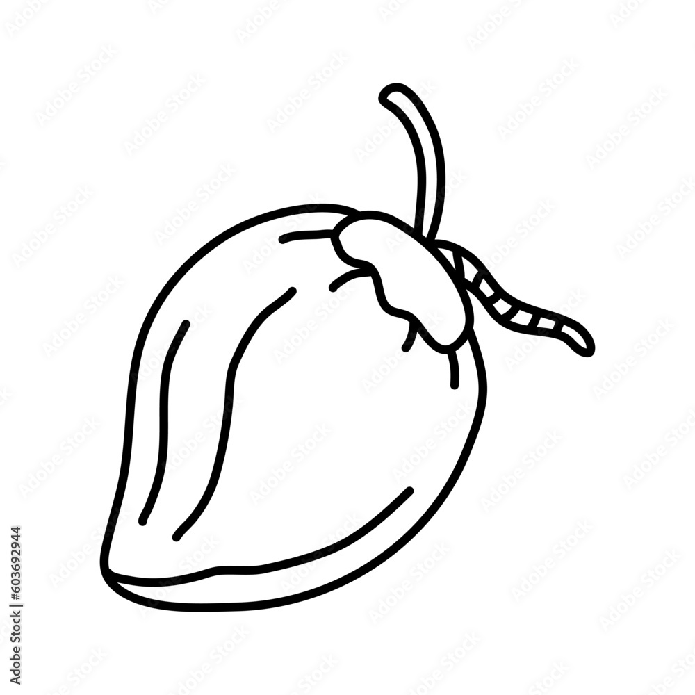Hand drawn coconut icon. Vector illustration in sketch ink style for brochures, banner and label product market Hand drawn coconut icon. Vector illustration in sketch ink style for brochures, banner and label product market