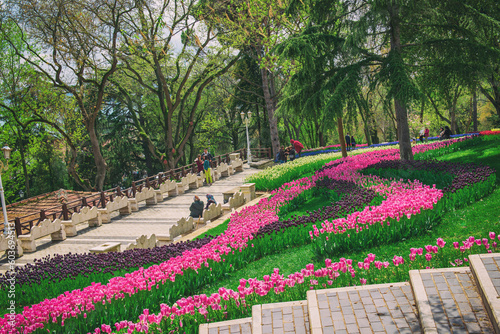 Emirgan Park, Istanbul