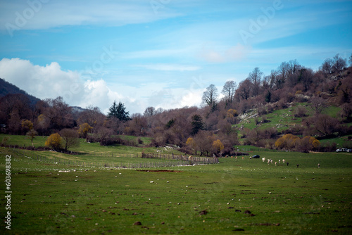 Paysage de campagne au printemps