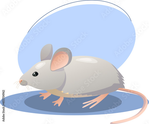 Mouse illustration. Animal, ears, tail, nose. Editable vector graphic design.