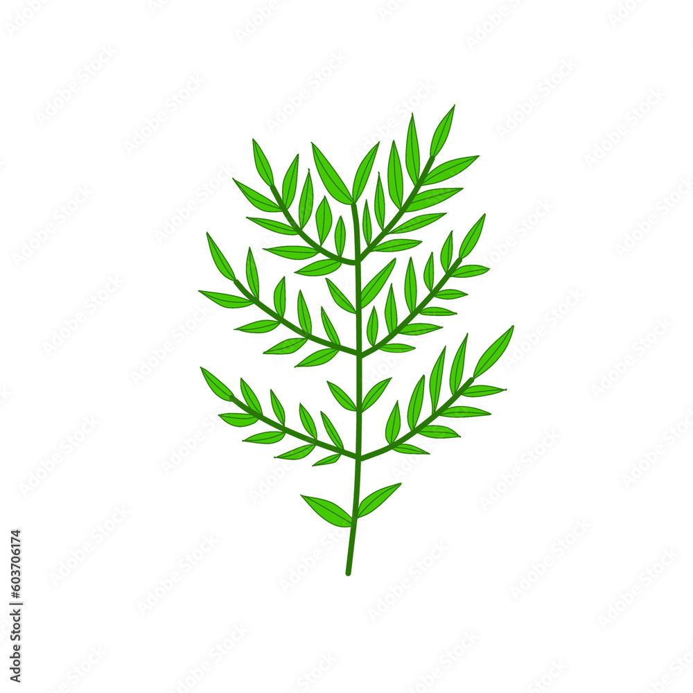 Naklejka premium leaves isolated on white background