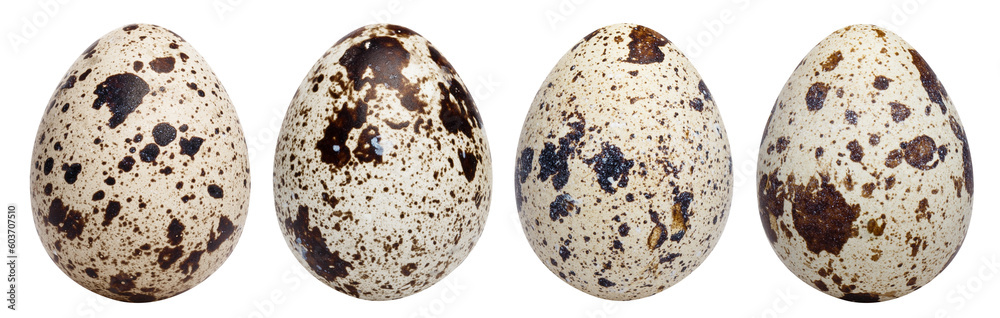 Set of quail eggs cut out Set of quail eggs cut out