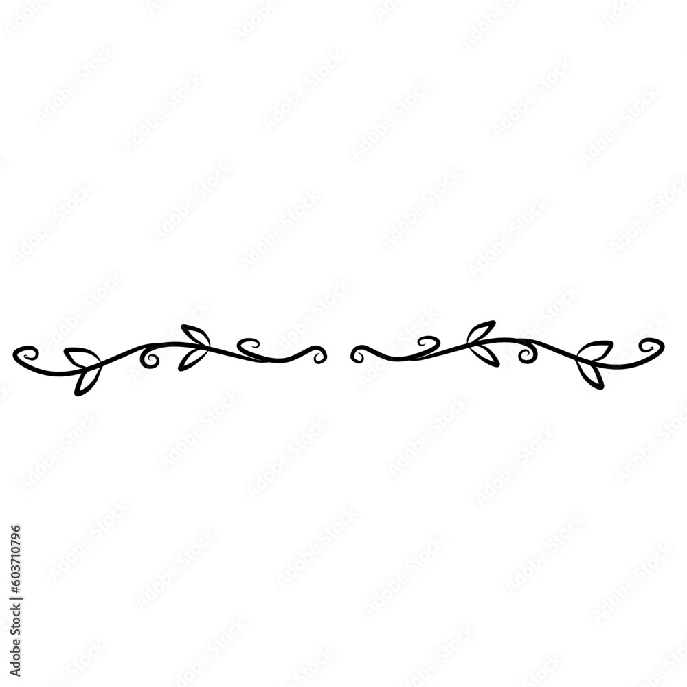 Botanical line divider Botanical line divider