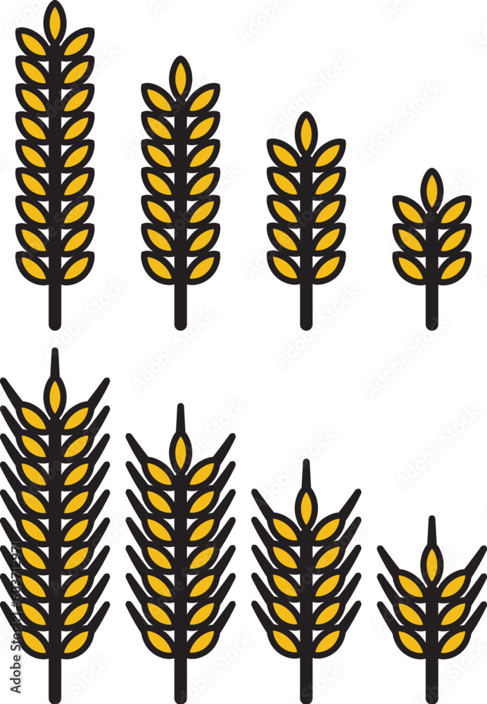 vector bunch of wheat or rye ears vector bunch of wheat or rye ears