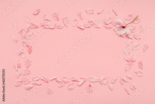 Image of spring cherry blossoms and sakura tree flowers on a pink pastel background Pastel pink background, bloom delicate flowers Springtime concept Сакура  Japan Sakura copy space branch blooming © Vitaliy Scherbonos