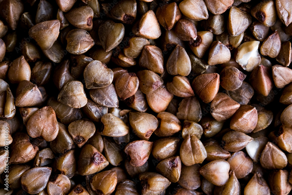 buckwheat. fresh buckwheat. dry buckwheat background. buckwheat texture buckwheat. fresh buckwheat. dry buckwheat background. buckwheat texture