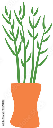 Lucky Bamboo in Orange Vase