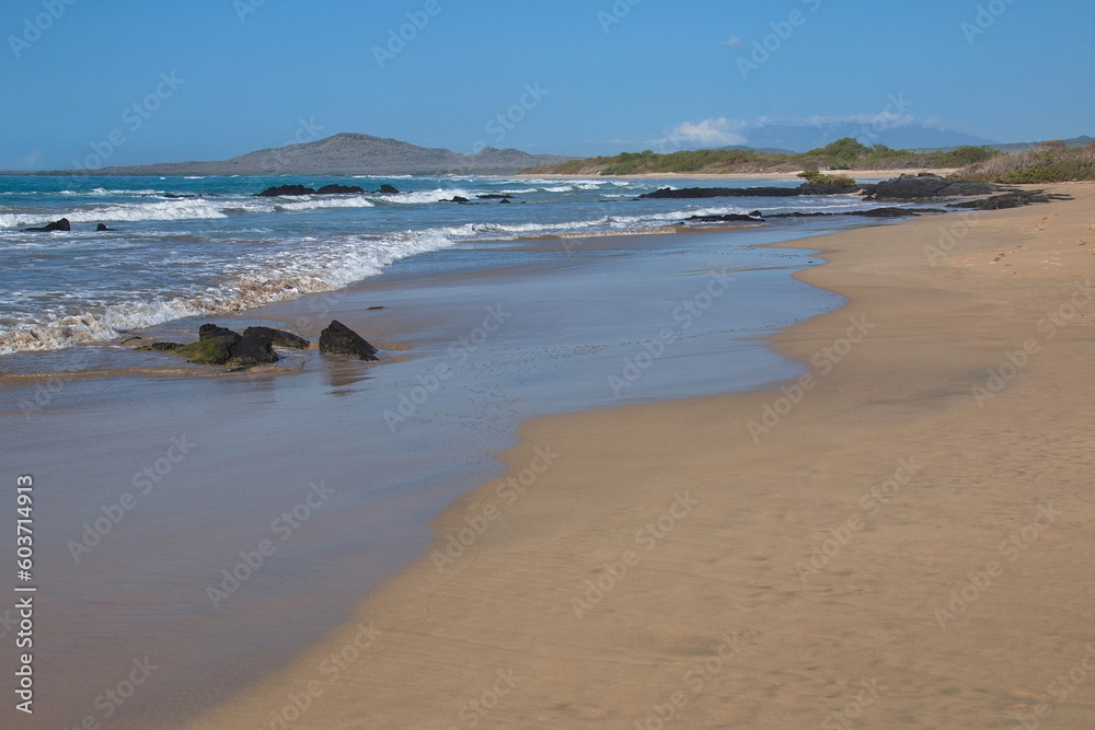 Beach at Puerto Villamil on Isabela island of Galapagos islands, Ecuador, South America
Beach at Puerto Villamil on Isabela island of Galapagos islands, Ecuador, South America