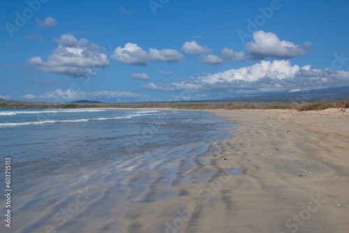 Beach at Puerto Villamil on Isabela island of Galapagos islands  Ecuador  South America 