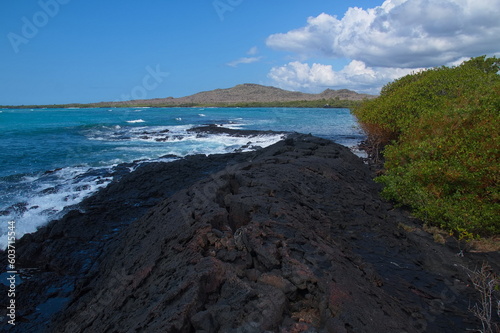 Lava Tunnel at Puerto Villamil on Isabela island of Galapagos islands, Ecuador, South America
 photo