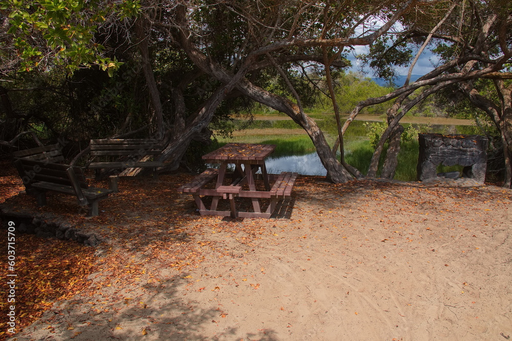 Resting place at Poza de las Diablas at Puerto Villamil on Isabela island of Galapagos islands, Ecuador, South America
Resting place at Poza de las Diablas at Puerto Villamil on Isabela island of Galapagos islands, Ecuador, South America