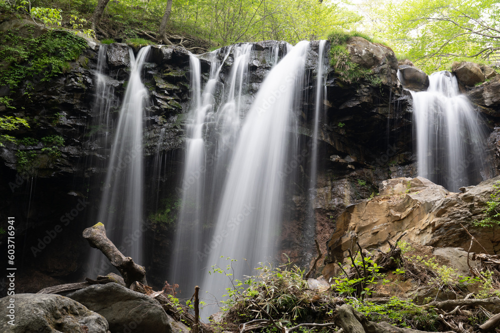 Obraz premium 日本の滝、乙女の滝