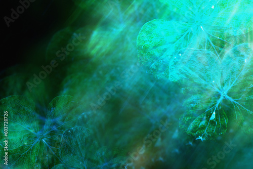 Negative Flowers Background