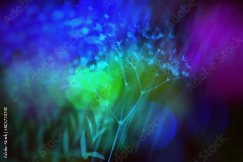 Negative Flowers Background