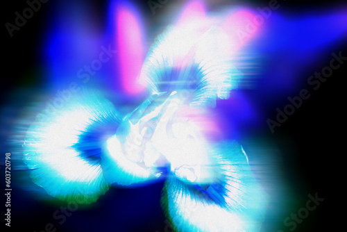 Negative Flowers Background