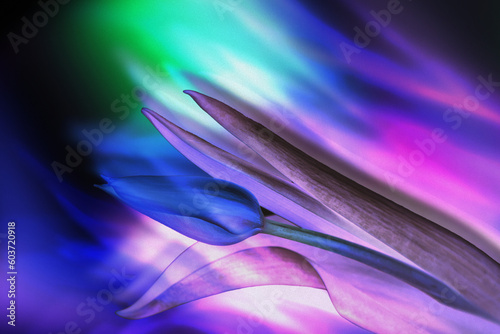 Negative Flowers Background