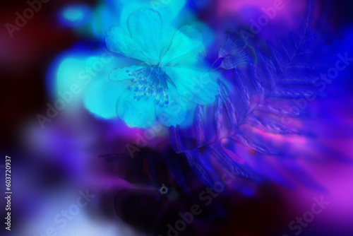 Negative Flowers Background