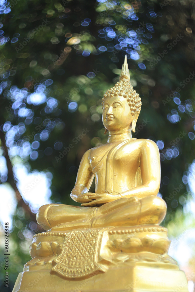 golden buddha statue
golden buddha statue