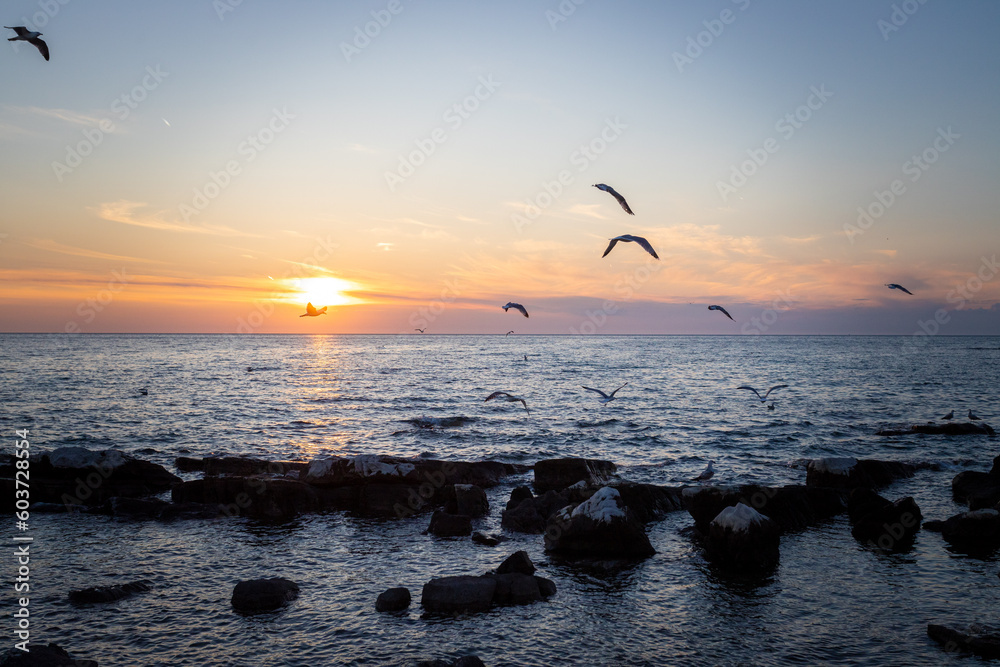 Scenic sunset at Porec beach, Croatia, flying birds