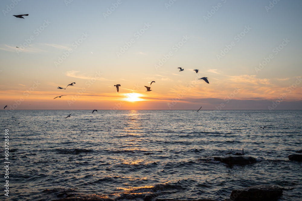 Scenic sunset at Porec beach, Croatia, flying birds