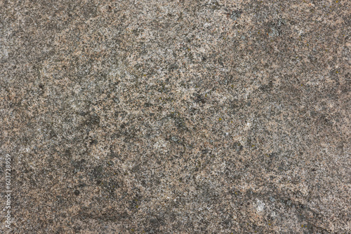 Wallpaper Mural Texture of gray granite stone. Torontodigital.ca