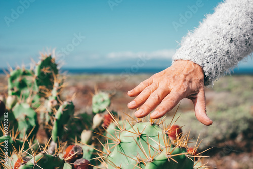 Female hand touching a wild prickly pear, thorns, attention, spontaneous tropical plant. Horizon over the sea