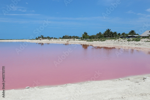 landscape and sand beach of the pink lagoon las coloradas in mexico