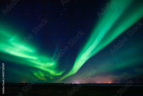 Fototapeta Naklejka Na Ścianę i Meble -  Green Northern Lights with a dark sky above field in Iceland