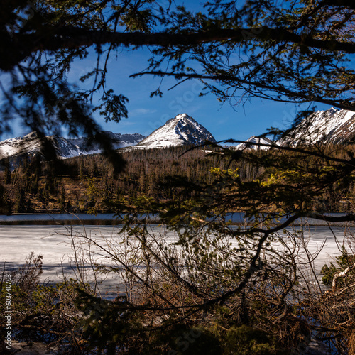 Beautiful spring nature - an iced lake in the mountains. View through the pines
